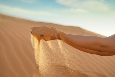 The people on the desert during the day
